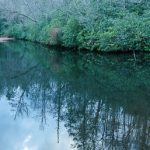 Hendersonville Reservoir