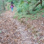 Middle Fork Trail