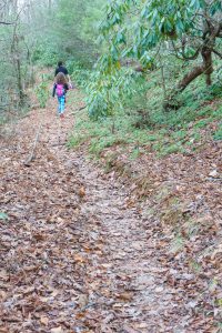 Middle Fork Trail