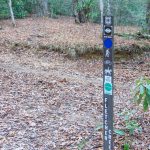 Fletcher Creek Trail from Middle Fork