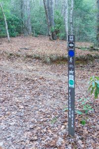 Fletcher Creek Trail from Middle Fork