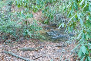 Spencer Branch Trail Ford