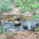 Spencer Branch Trail Crosses Fletcher Creek