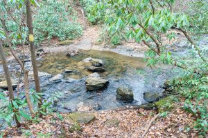 Spencer Branch Trail Crosses Fletcher Creek