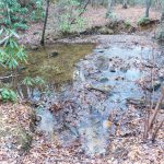 Middle Fork Creek Crossing