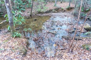 Middle Fork Creek Crossing