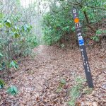 Middle Fork Trail