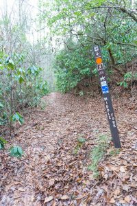 Middle Fork Trail