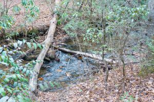 Old Log Bridge Location on Spencer Branch