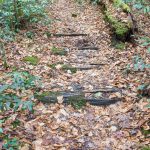 Old Railroad Ties on Spencer Branch