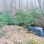 Fletcher Creek Cascade