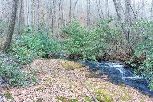 Fletcher Creek Cascade