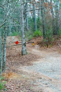 Start of the Trace Ridge Trail