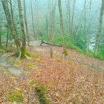 Bridges Camp Gap, Big East Fork, Greasy Cove Junction