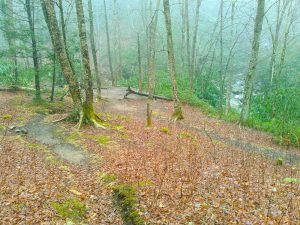 Bridges Camp Gap, Big East Fork, Greasy Cove Junction