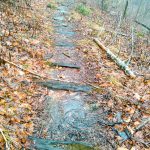 Bridges Camp Gap Trail Old Railroad Ties