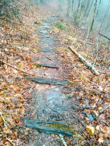 Bridges Camp Gap Trail Old Railroad Ties