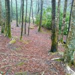 Campsite beside the East Fork