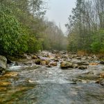 East Fork beside Bridges Camp Gap