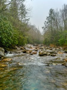 East Fork beside Bridges Camp Gap