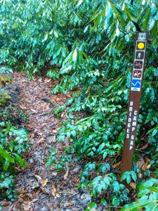 Bridges Camp Gap Trail Sign