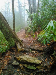 Bridges Camp Gap trail in Fog