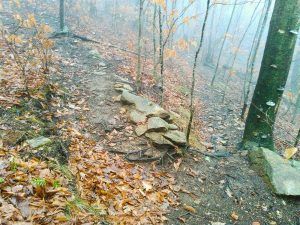 Bridges Camp Gap Trail Switchback