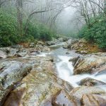 East Fork and Greasy Cove Prong Confluence