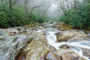 East Fork and Greasy Cove Prong Confluence