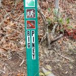 Start of the Big Piney Trail