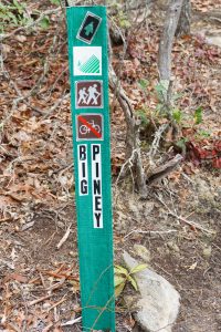 Start of the Big Piney Trail