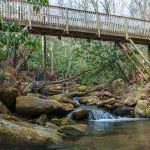 Bridge over Flat Creek