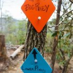 Lower Piney/Big Piney Trail Signs