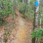 Blue Blaze on the Lower Piney Trail