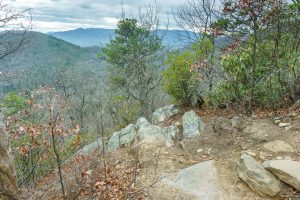 Overlook on the Lower Piney trail