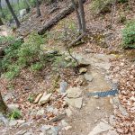 Rocky Section of the Lower Piney Trail