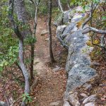 Rock Outcrop beside the Lower Piney Trail