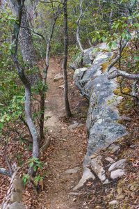 Rock Outcrop beside the Lower Piney Trail