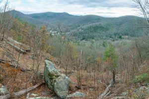 View of Montreat on the Lower Piney Trail