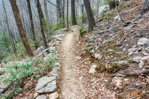 Rocky Slope on the Lower Piney Trail