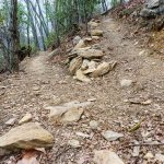 Switchback on the Lower Piney Trail