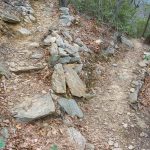 Rock Steps and Switchback on the Lower Piney Trail