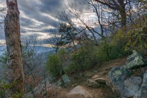 Lower Piney Trail Winter Sunset