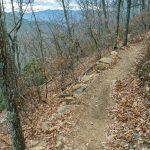 Winter View on the Lower Piney Trail