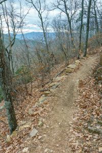 Winter View on the Lower Piney Trail