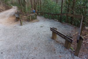 Hemlock Nature and High Shoals Falls Trails