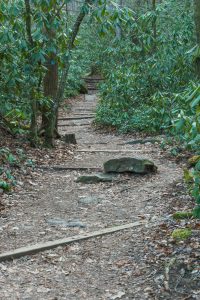 High Shoals Falls Loop in the River Bottoms