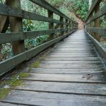 Bridge over Jacob Fork