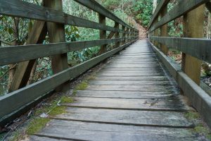 Bridge over Jacob Fork