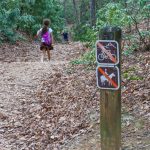 High Shoals Falls Loop Begins Downhill